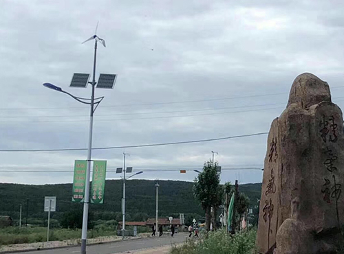南京歐陸300W風光互補發電系統成功應用在內蒙道路上