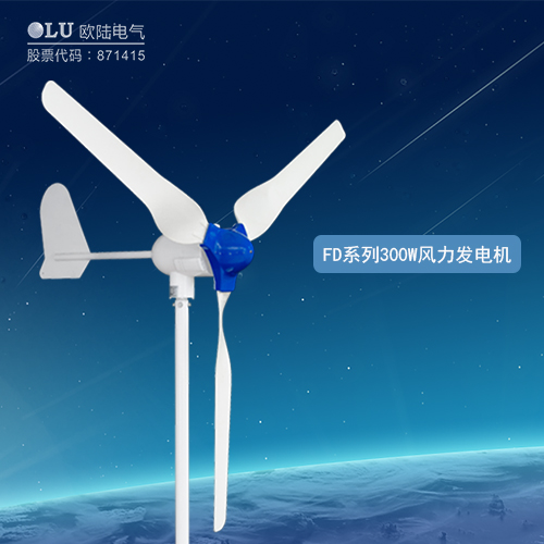 FD系列300W風(fēng)力發(fā)電機(jī)